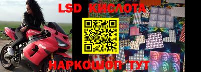 прущие грибы Тулун