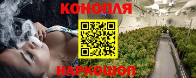 прущие грибы Тулун