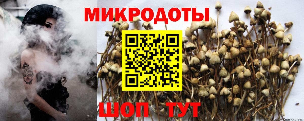 Псилоцибиновые грибы Cubensis  Псилоцибиновые грибы ЛСД  Вход с VPN  Нижневартовск 