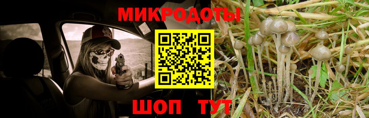 Псилоцибиновые грибы прущие грибы Нижневартовск